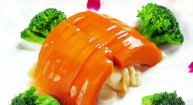 �����ƽ�����רҵ