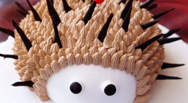 �����ƾ�������רҵ