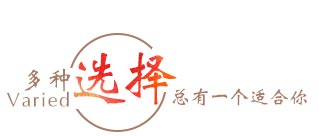 ����ѡ��