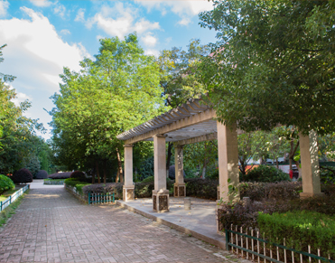 �׶��Կ���