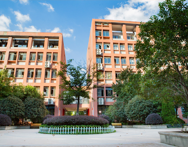 �׶��Կ���