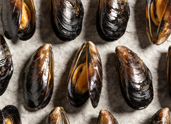 ���ɲ�Ʒ��Ƭ (6).jpg