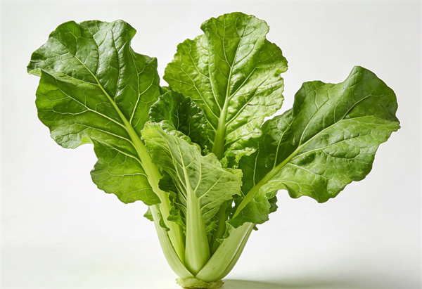 生成菜品照片 (1).jpg