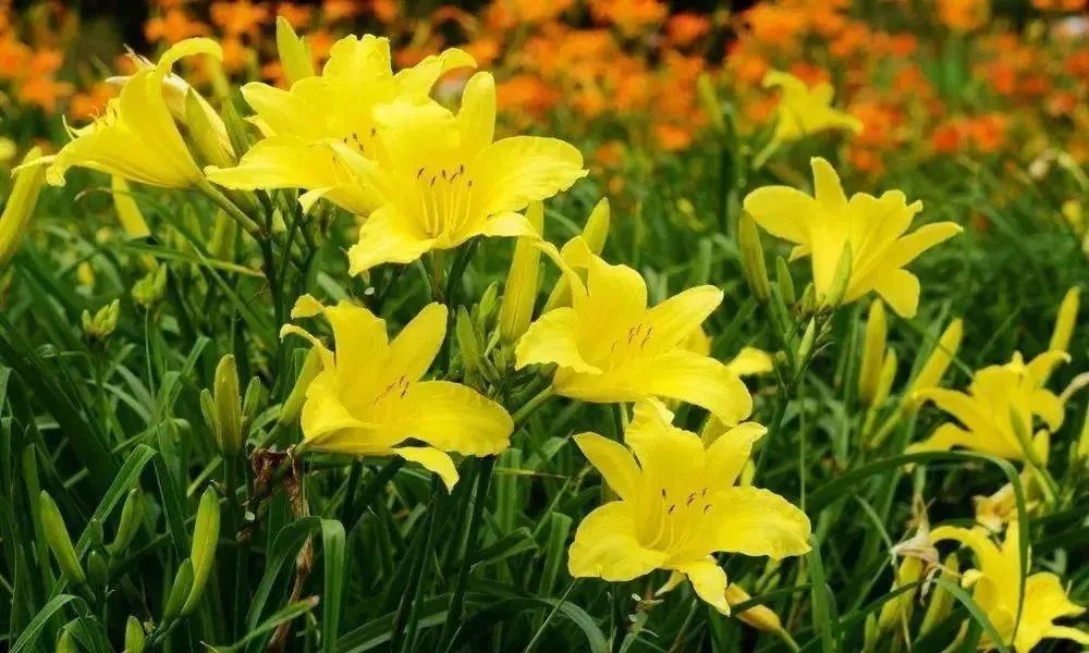 <a href=http://www.jxxdf.com target=_blank class=infotextkey>¶ѧУ</a>.jpg