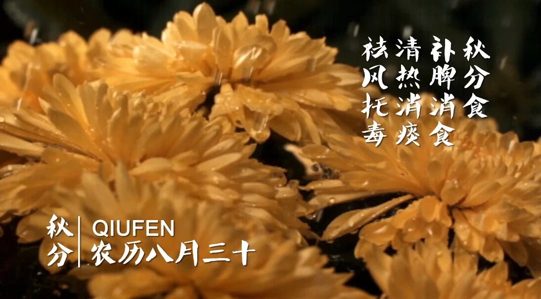 ϵĶʮĽ——ƪ