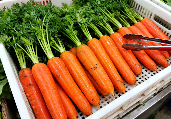 ���ɲ�Ʒ��Ƭ (4).jpg