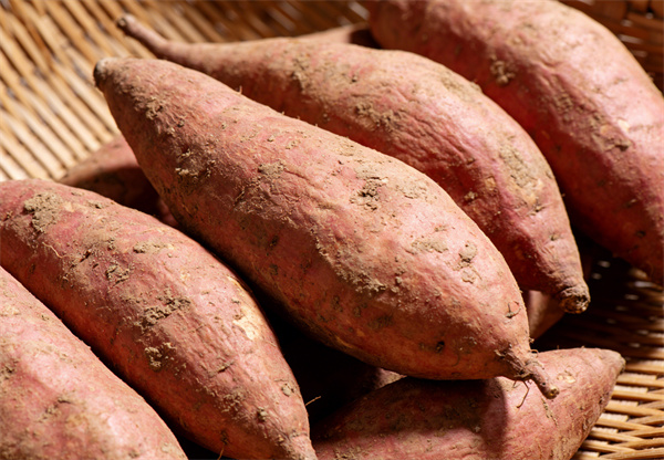 ���ɲ�Ʒ��Ƭ (1).jpg