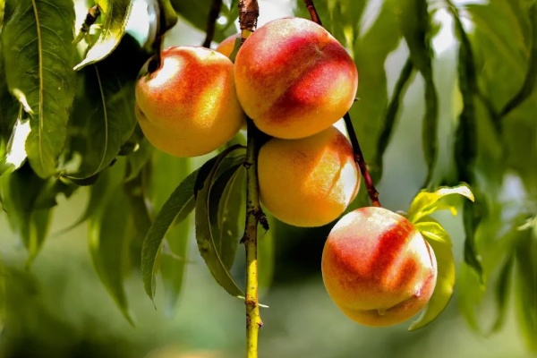 <a href=http://www.jxxdf.com target=_blank class=infotextkey>¶ѧУ</a>.jpg