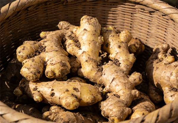 生成菜品照片 (3).jpg