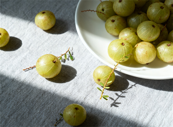 生成发芽土豆照片 (1).jpg