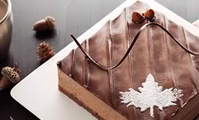 ��������רҵ