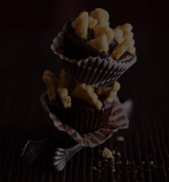 �����¶���������ѵѧУ