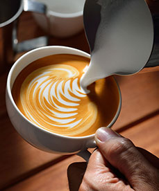 ���ܻ���ģ��