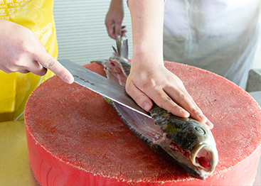 ������ʦ�ְ�����������