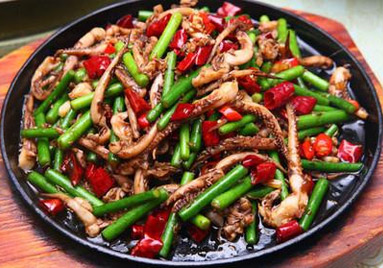 ��ѵ����