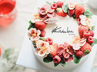 ��ʽ�ѻ���ɫ��