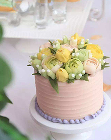 ��ʽ�ѻ���ɫ��