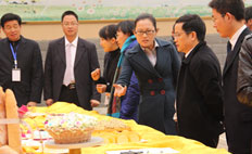ʡ쵼ݰٽ¶ѧԺָ