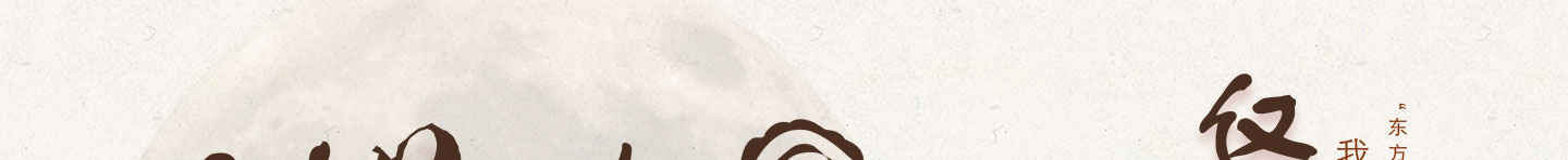 Ż